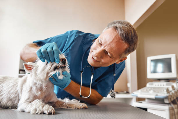 Best Weekend Emergency Dentist in Gretna, VA